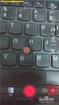 国产老虎抖音版视频,萌态可掬，国货之光闪耀网络