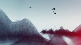 国产动漫水墨视频,国风画卷中的奇幻之旅