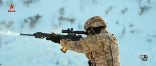 国产精确步枪连续射击视频,弹无虚发，精准制导  第2张