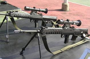 国产精确步枪连续射击视频,弹无虚发，精准制导  第3张